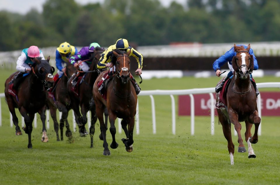  Hawkbill right) leaves the field behind him at Newbury