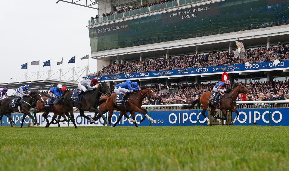  Barney Roy (second from right, all blue) finishes second to Churchill at Newmarket