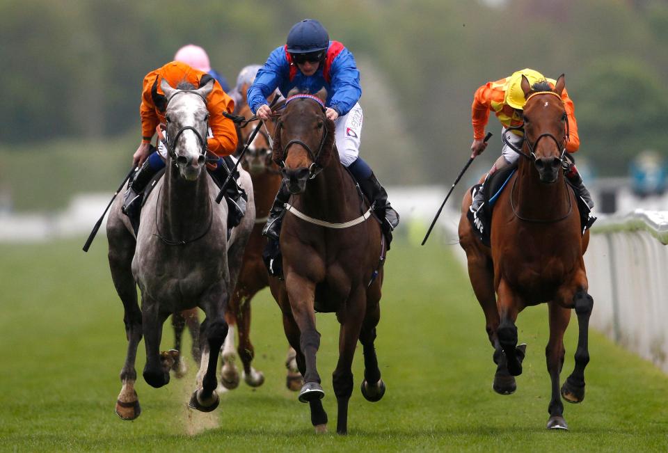  Clever Cookie (centre) also lines up for trainer Peter Niven