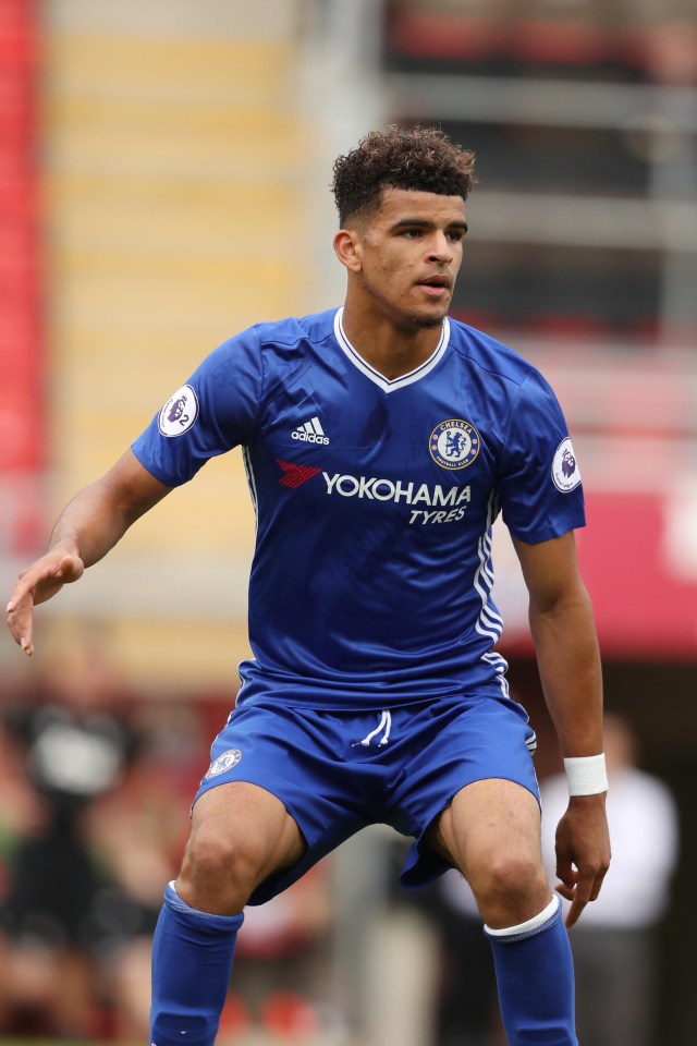 Celtic are leading the race to sign Dominic Solanke from Chelsea