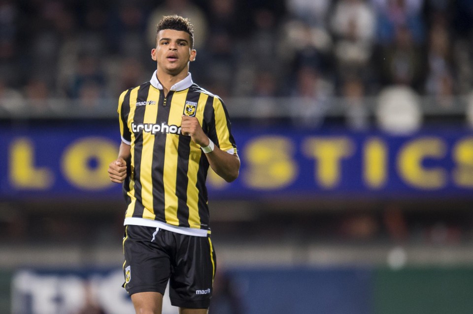 Dominic Solanke spent last season on loan at Dutch side Vitesse Arnhem