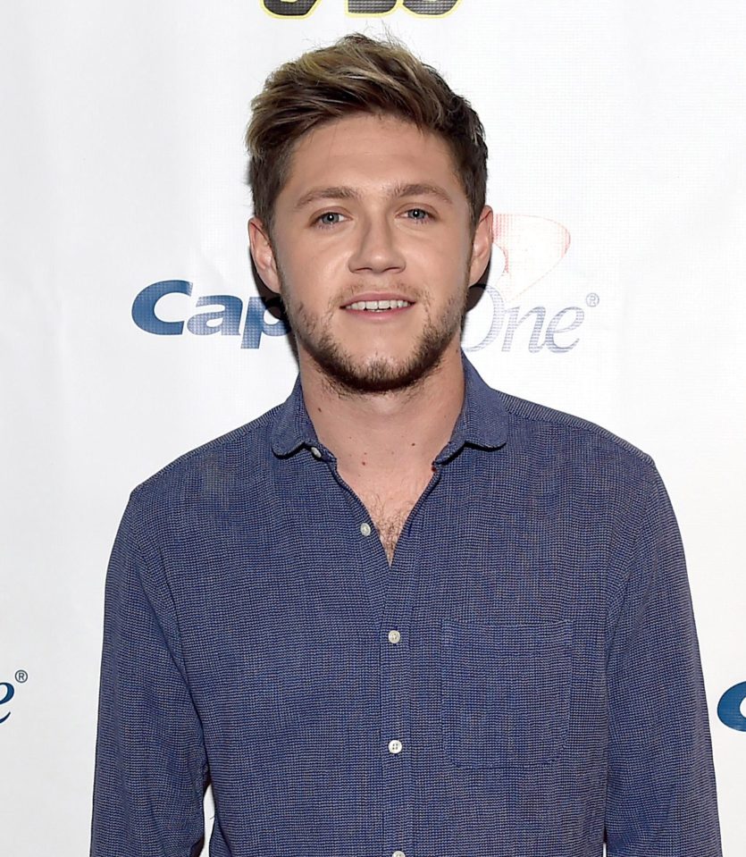  Niall Horan is planning on making a country record