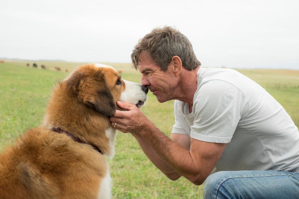  Reunited decades later with grown-up Ethan (Dennis Quaid)