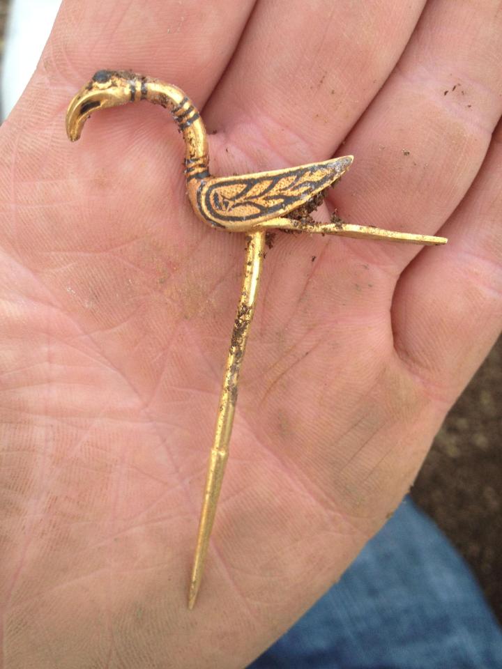  Intricate gold brooches were also found in the hoard