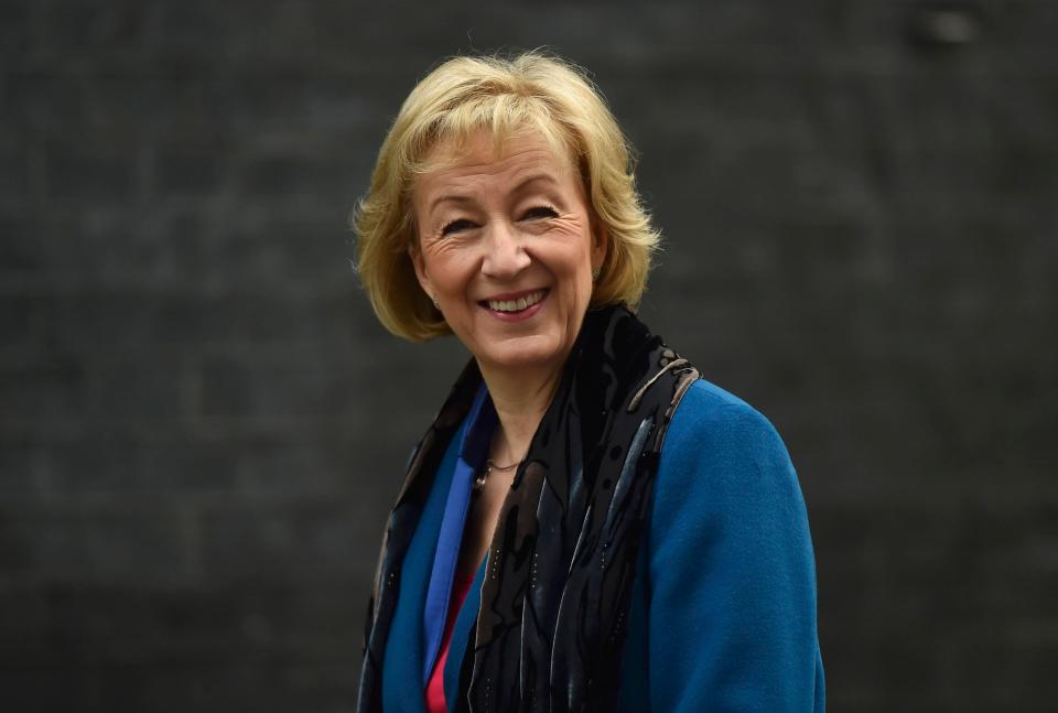  Andrea Leadsom destroyed her own leadership chances by discussing Mrs May's lack of children