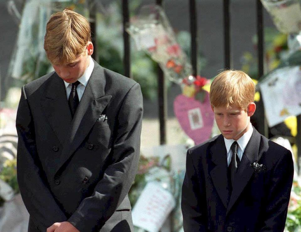  Diana's sons Princes William and Harry speak candidly about the loss of their mother at such a young age