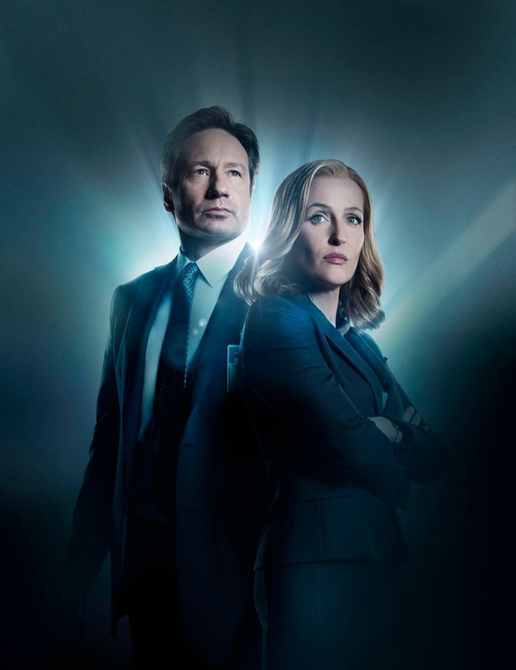 Gillian found fame playing Scully in The X-Files