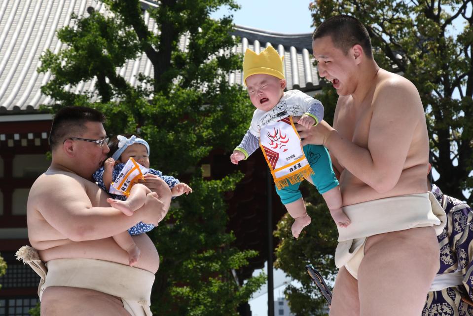  The bizarre ceremony takes place at the Nakizumo Festival, held in Tokyo, Japan