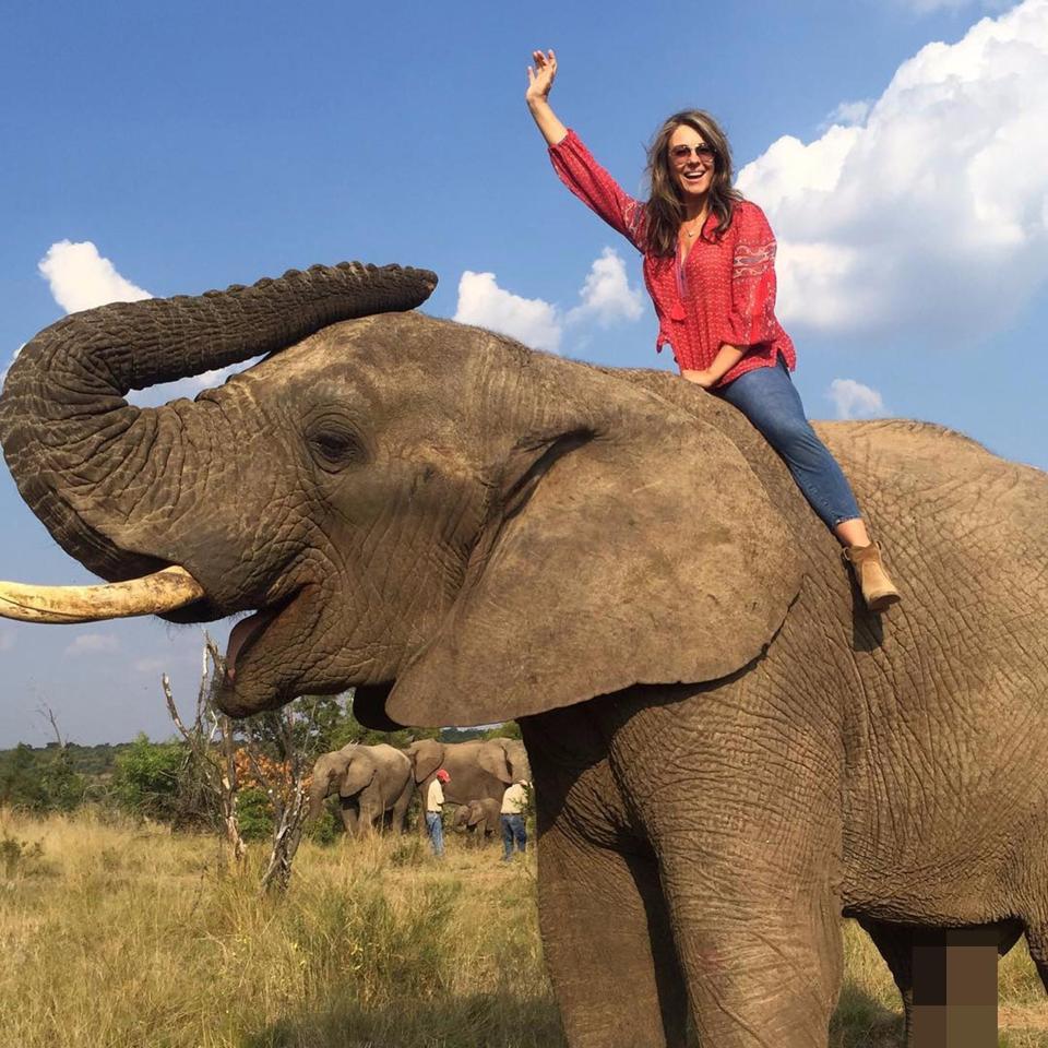  Liz Hurley rides an elephant in a fun social media snap - but she failed to spot an awkward detail