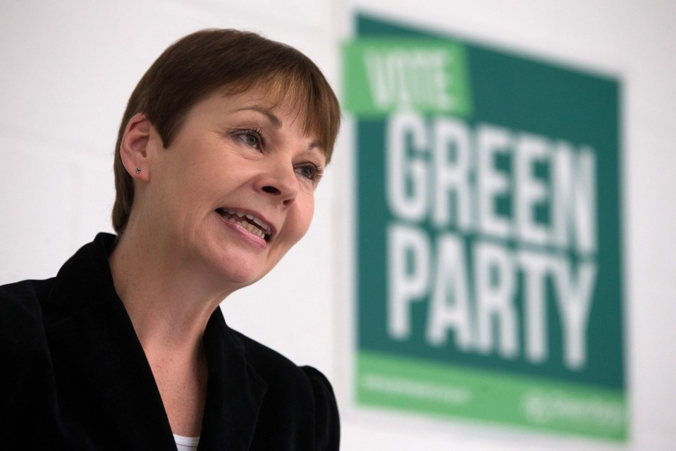 Co-leader of the Green Party Caroline Lucas will continue to campaign for all