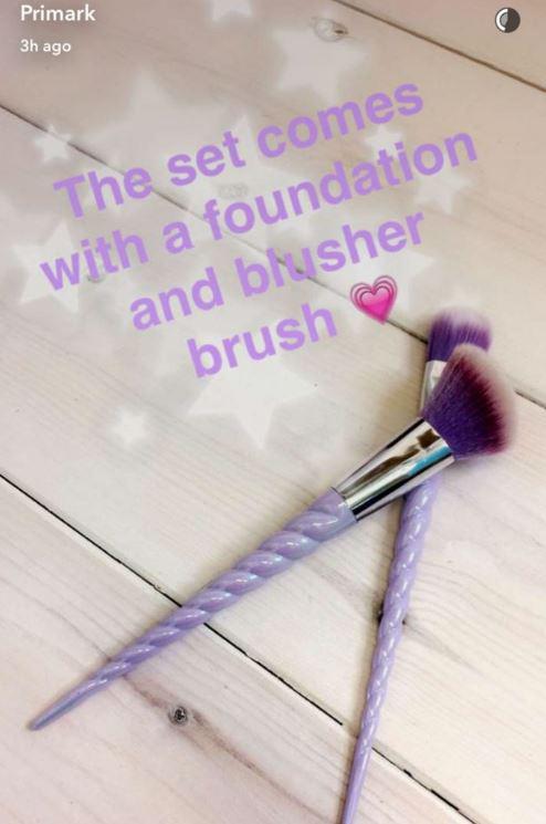  The set features a foundation brush and a blusher brush