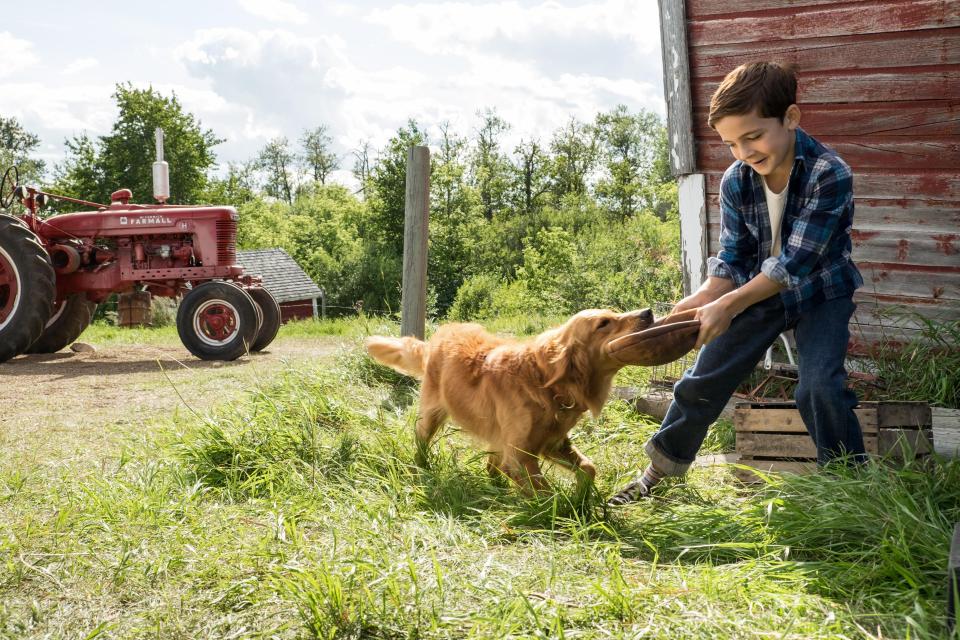  A Dog's Purpose follows a dog through a series of reincarnations, including as young Ethan's beloved rescue Bailey