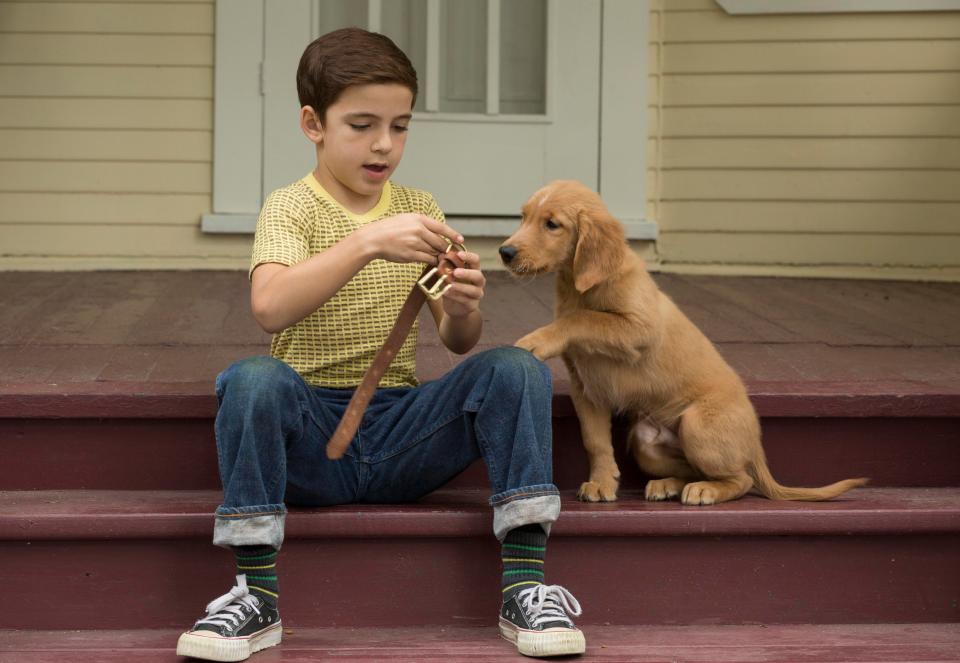  The feel-good film stars Bruce Gheisar as young Ethan, Bailey's first owner