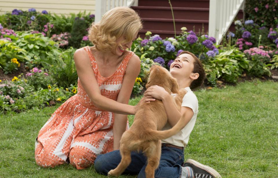  In A Dog's Purpose, pooch Bailey seeks his purpose in life over the course of several lifetimes