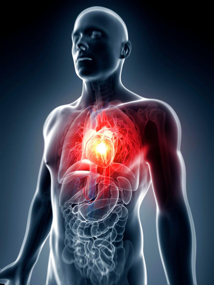  The risk of heart disease falls rapidly within just a few days of quitting, a study has found