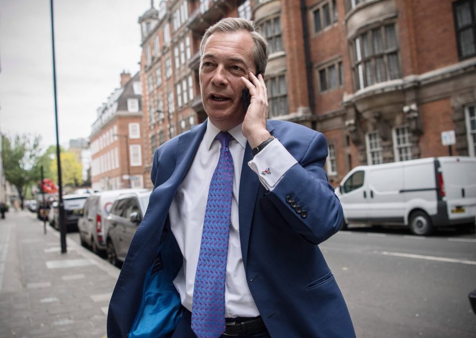  Former chief Nigel Farage said of Ukip's electoral demise: 'We won the war, but we have not won the peace'