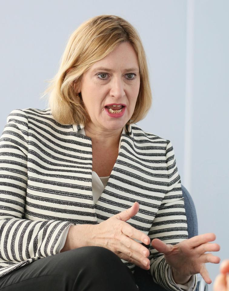  Amber Rudd said immigration would decrease after Brexit and that there was still a downward trend