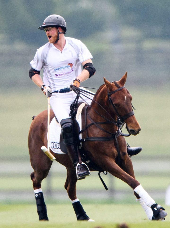  Harry in swashbuckling mode on the polo field