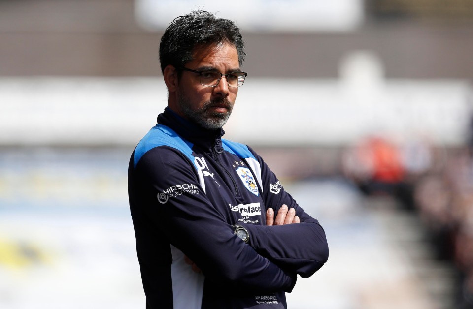 David Wagner was left frustrated as Huddersfield were downed 3-0 at home to Cardiff