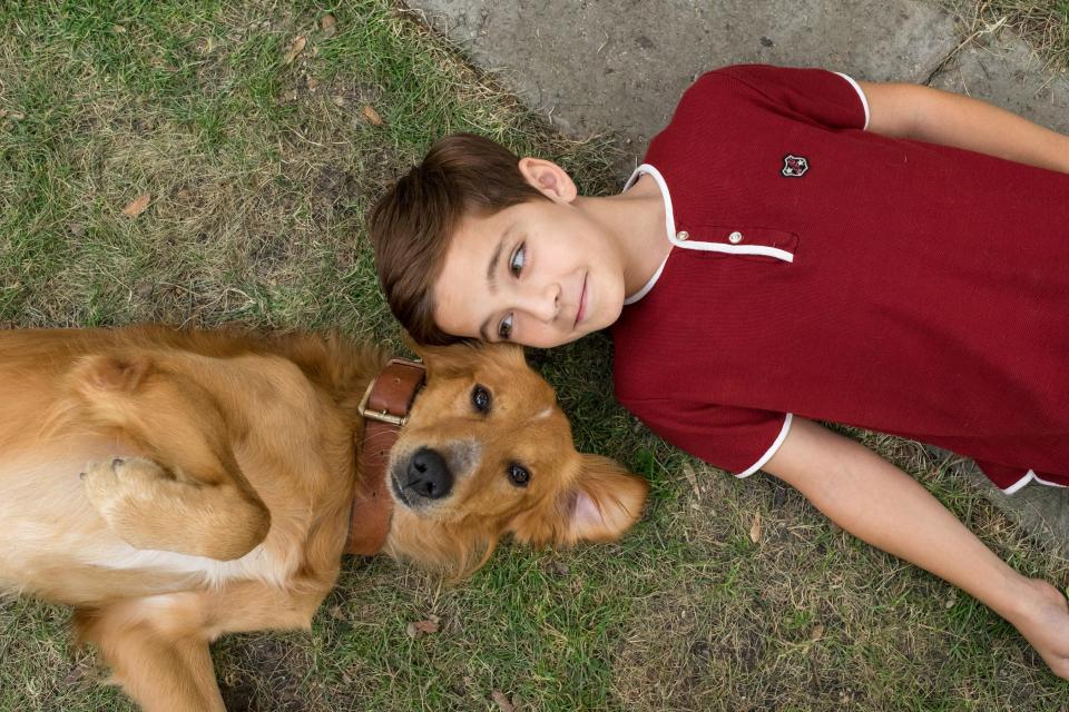  Ethan, played by Bryce Gheisar, and his canine buddy in A Dog's Purpose