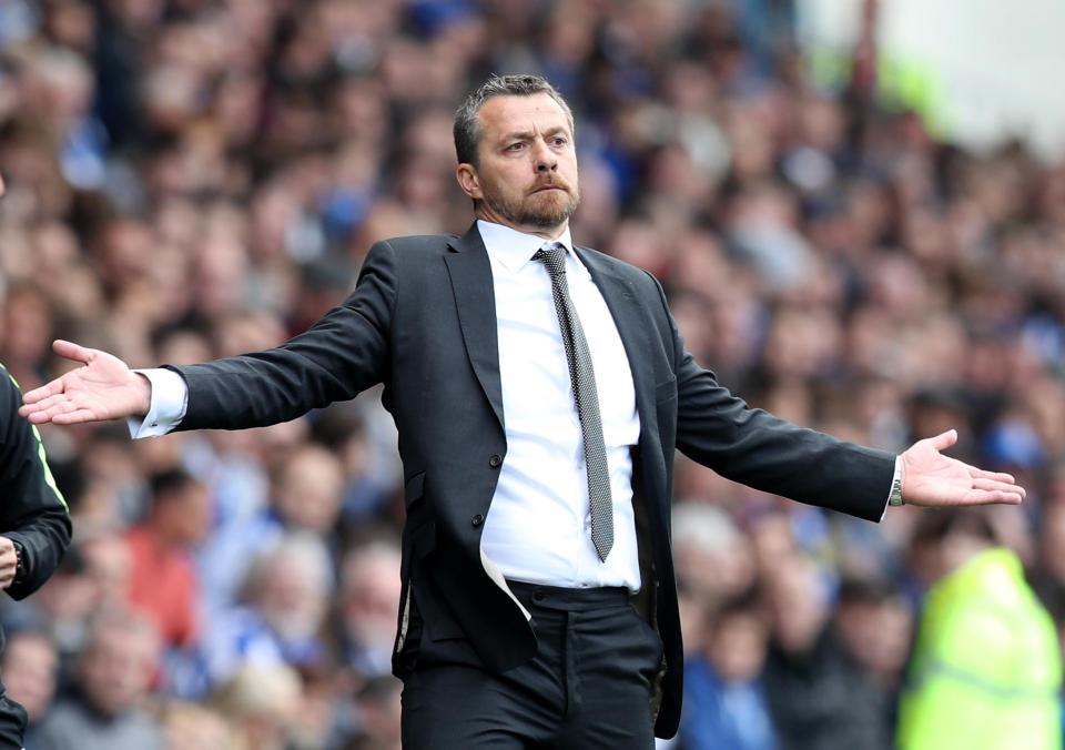  Slavisa Jokanovic has turned Fulham into a great footballing side