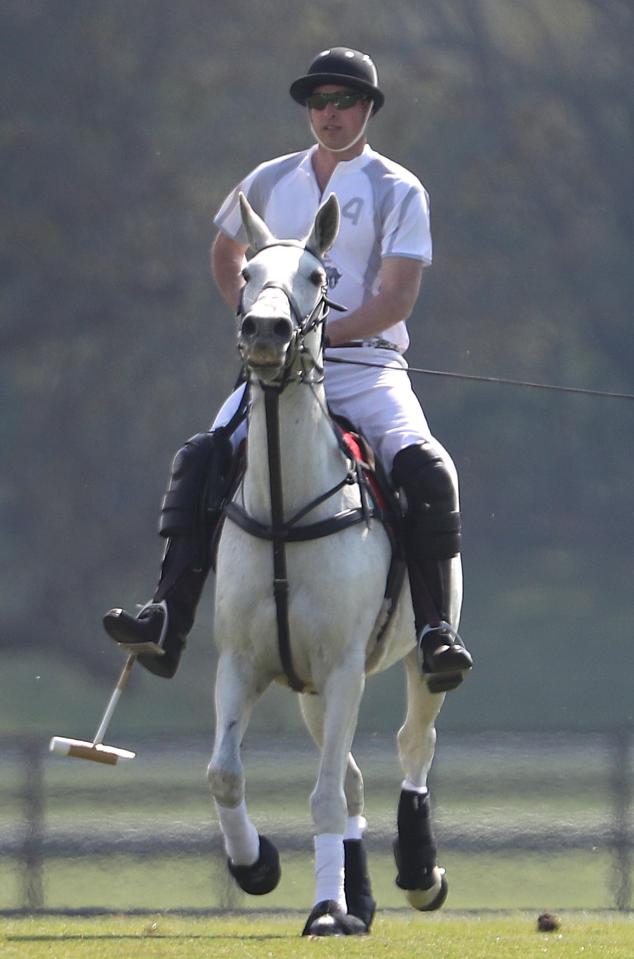  Harry was joined by his brother Prince William, 34, on the field