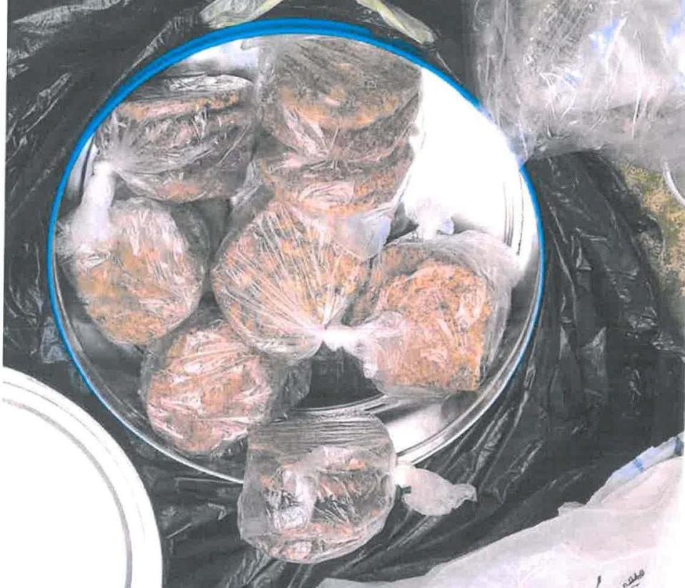  She handed them cookies from a knitted bag. More biscuits were found by cops in her bin