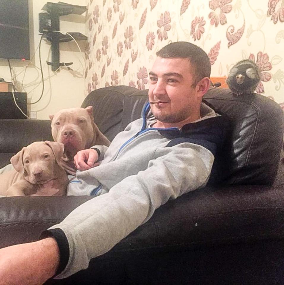  Andrew McGowan, 35, was charged with having dangerous dogs out of control and appeared in court today