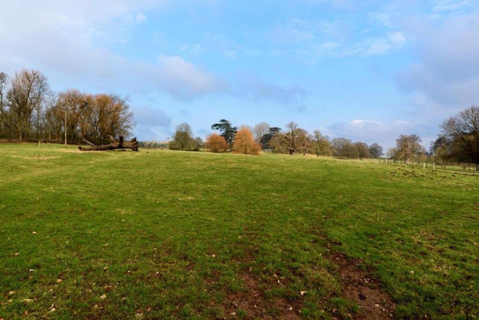  Plenty of legroom ... the castle is set on 17 acres of communal parkland