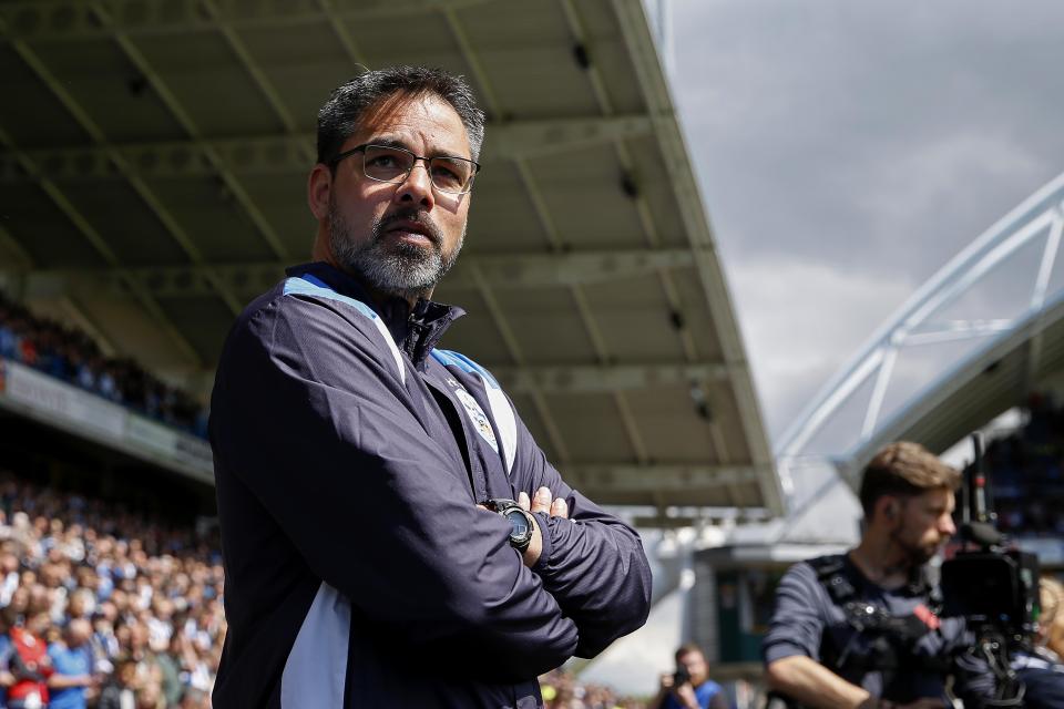  Huddersfield are looking for a director of football to work with David Wagner