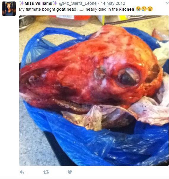  One woman was left with a nasty surprise when her roommate left a goat's head in her kitchen