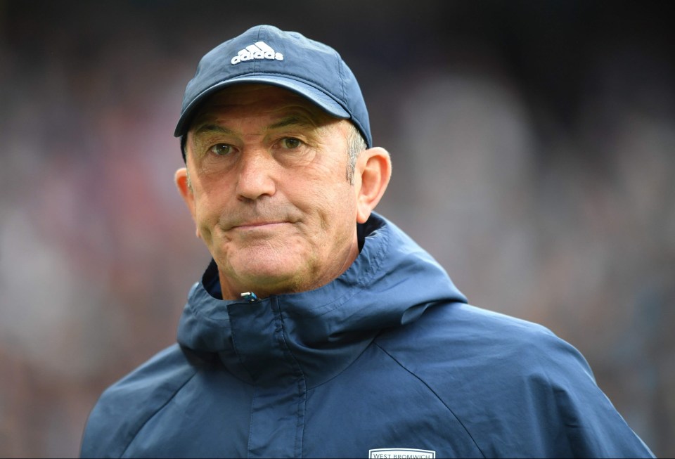 Tony Pulis has long been an admirer of the Hornets frontman