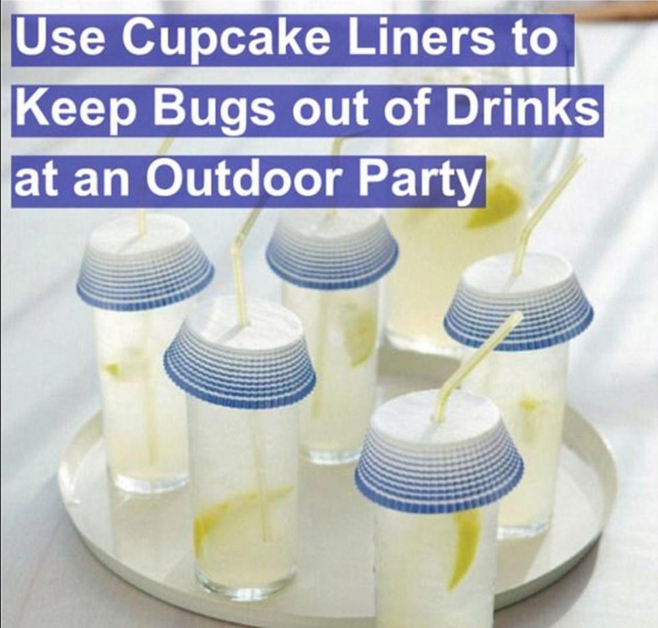  Summer barbecues are plagued with little critters in your drink but this will help