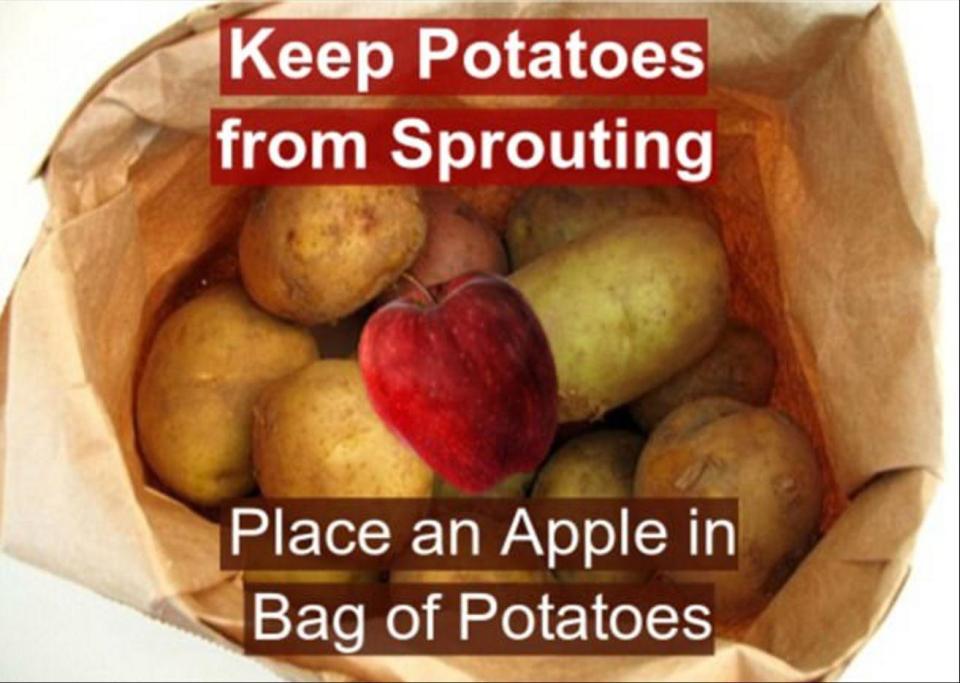  A fruity solution to wasting good spuds