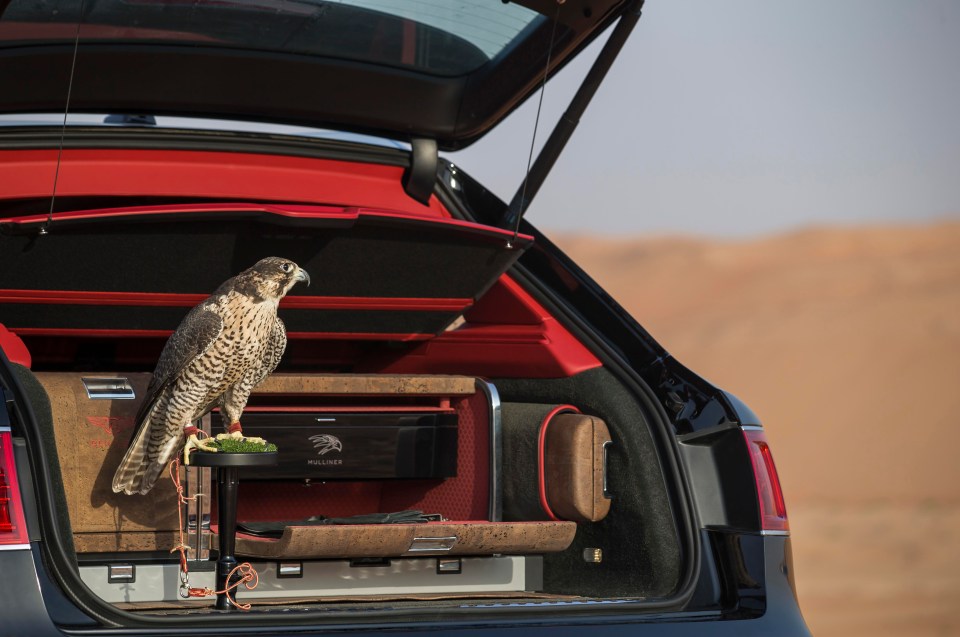 Bentley's new falconry kit 