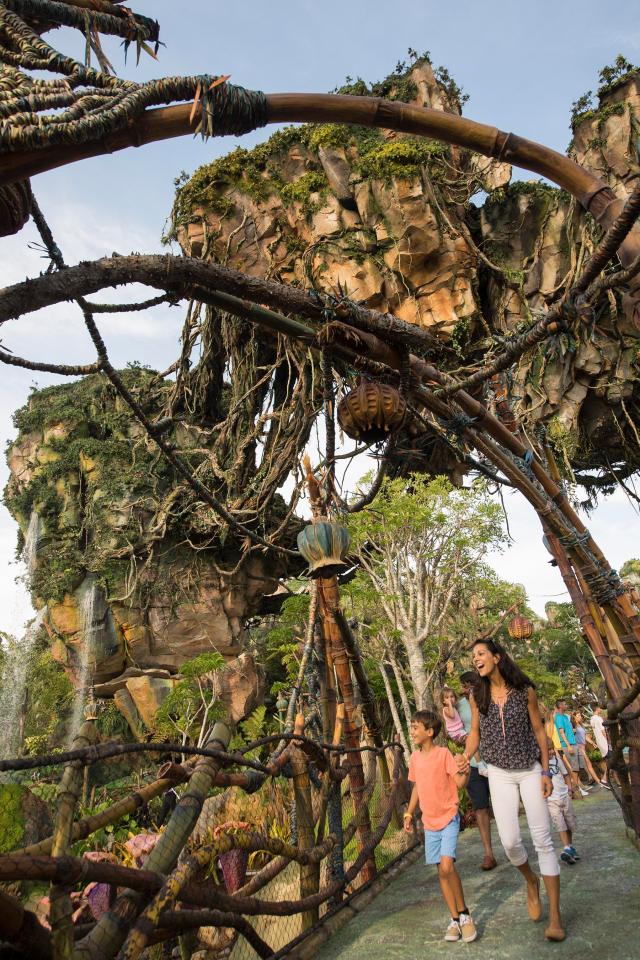  A canopy of glowing plants and Pandoran creatures greet holiday makers around every corner