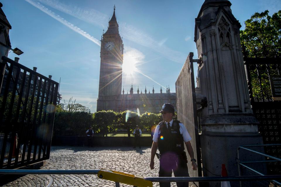  The armed guards will be standing outside Buckingham Palace, Westminster and Downing Street