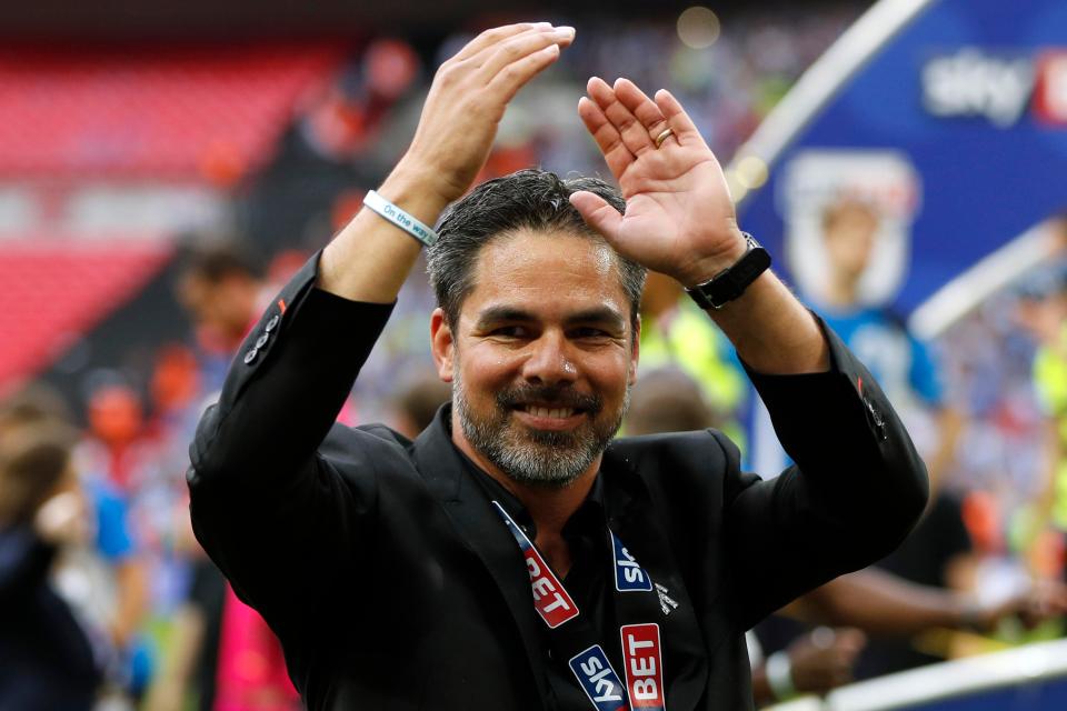  David Wagner reacts after the match against Reading in which Huddersfield Town secured Premier League football next season