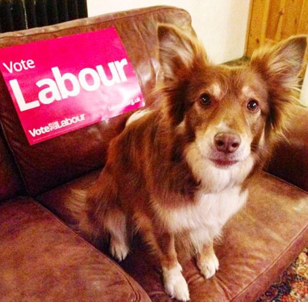  Actress Eleanor Tomlinson posted this picture of her Labour-voting dog on online