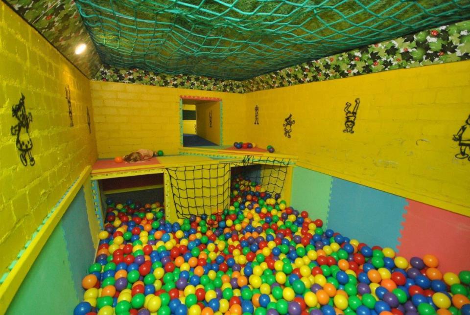  The ball pit, complete with a tunnel system, is installed in the basement of the house