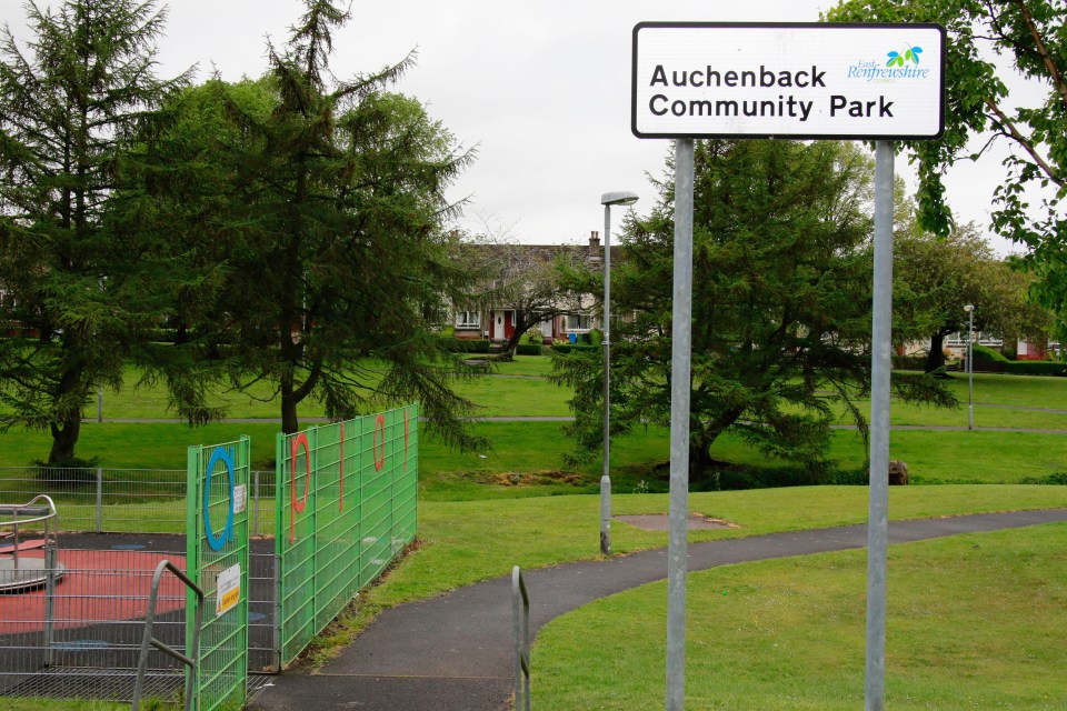 The incident happened at Auchenback Community Park