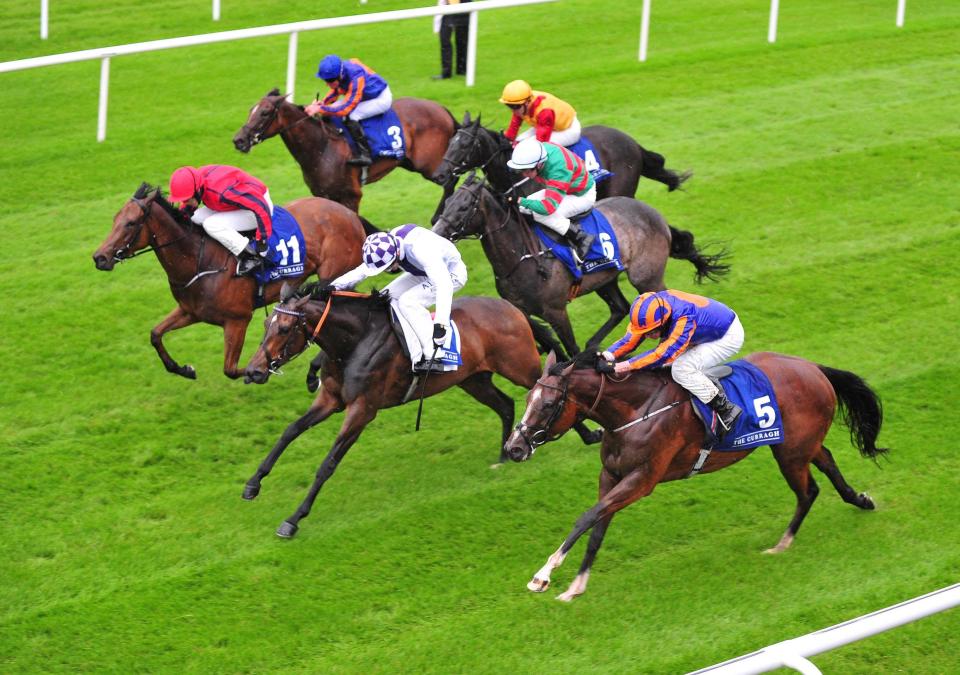  Clemmie (5) could head to Royal Ascot after her close third on debut