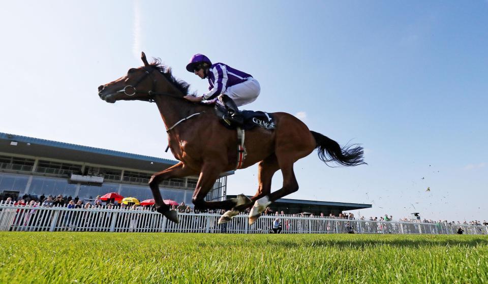  Minding missed the race after suffering a setback