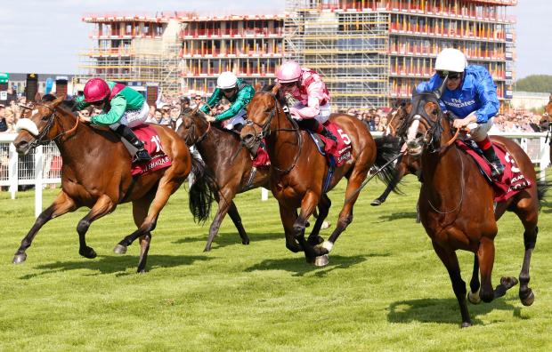 Newbury racecourse