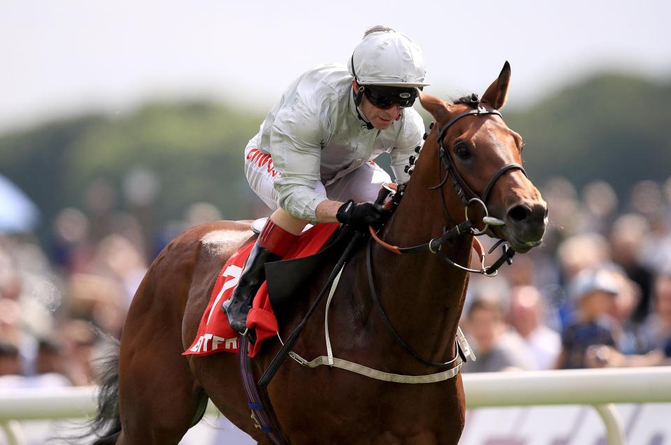  Permian is likely to be supplemented for the Derby after his Dante win