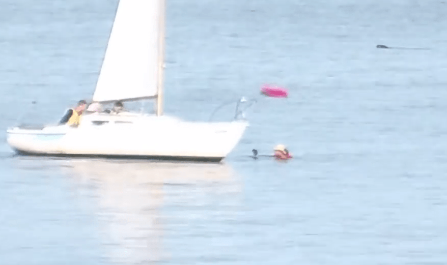  Luckily a Coast Guard boat raced to help the stranded paddler out of the water