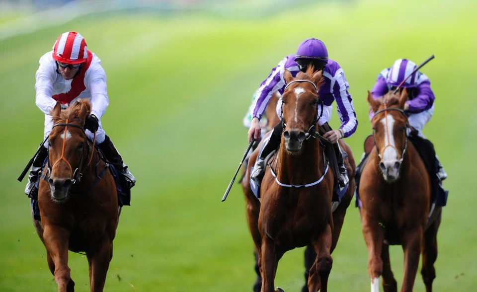  Night Of Thunder (left) narrowly beat Kingman in the Guineas