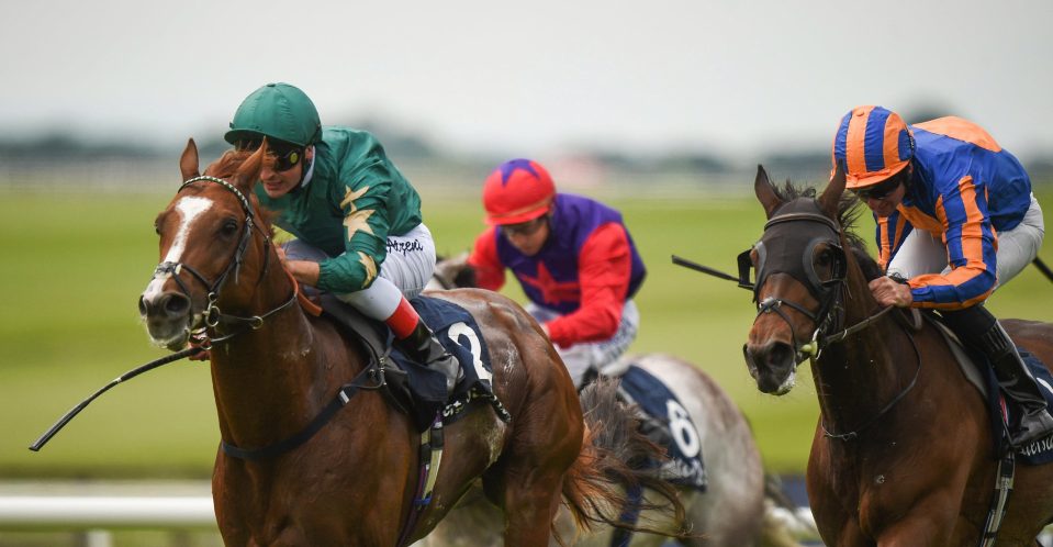  Decorated Knight (left) holds off the challenge of Somehow