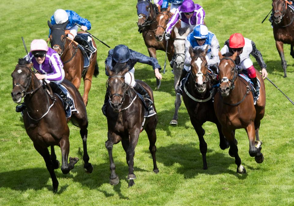  Crowley and Eminent (second right) get squeezed out at the finish