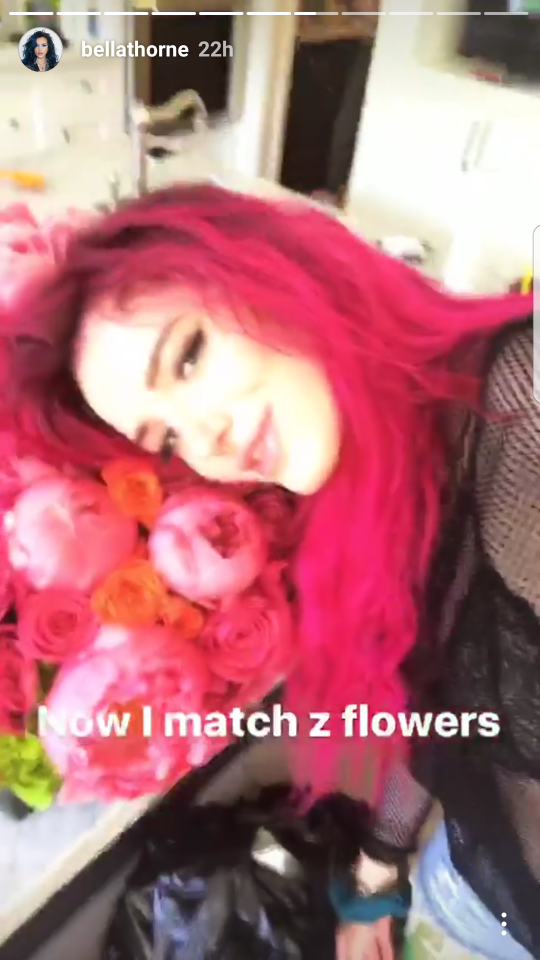  Bella compared her pink hair to the blooms